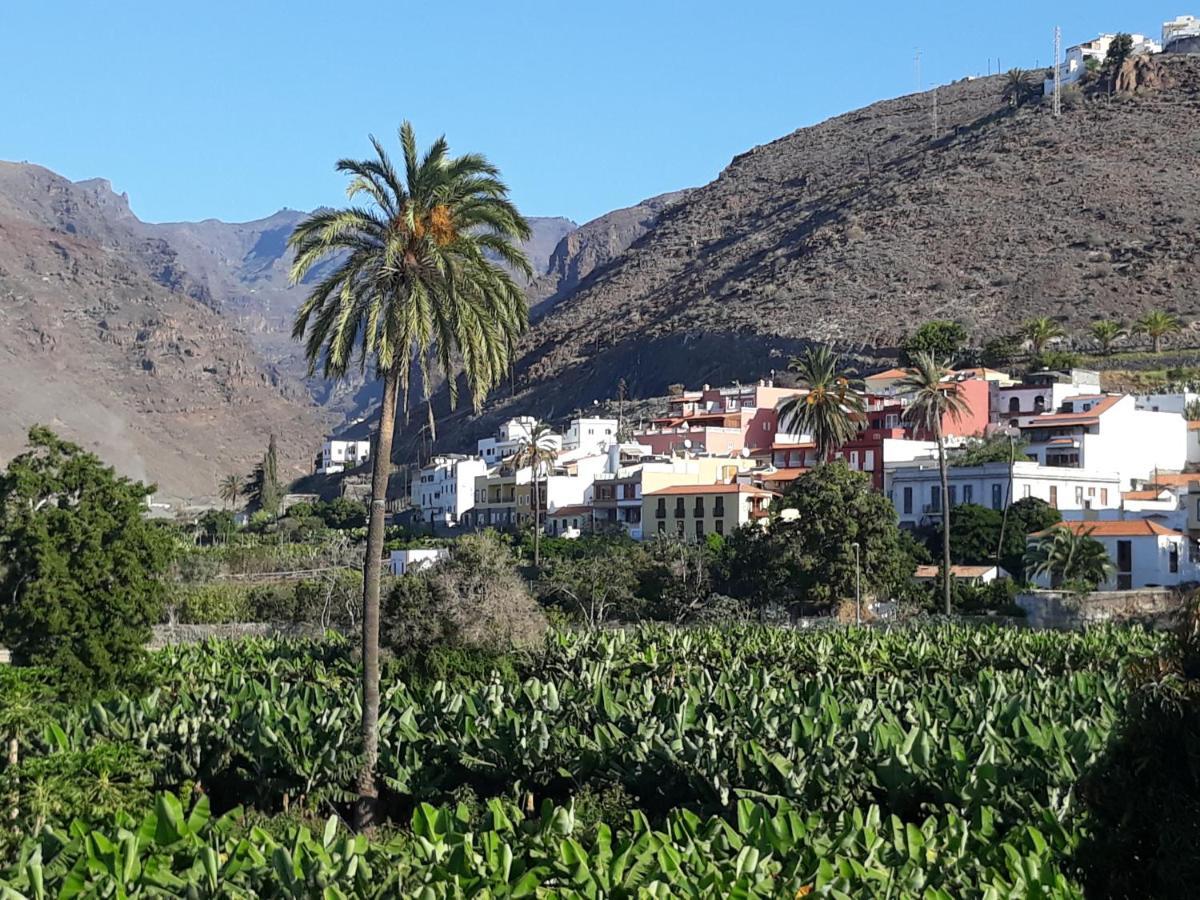 Los Olivos Плайя-де-Сантьяго Екстер'єр фото