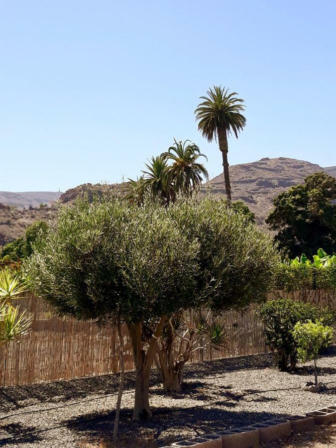 Los Olivos Плайя-де-Сантьяго Екстер'єр фото